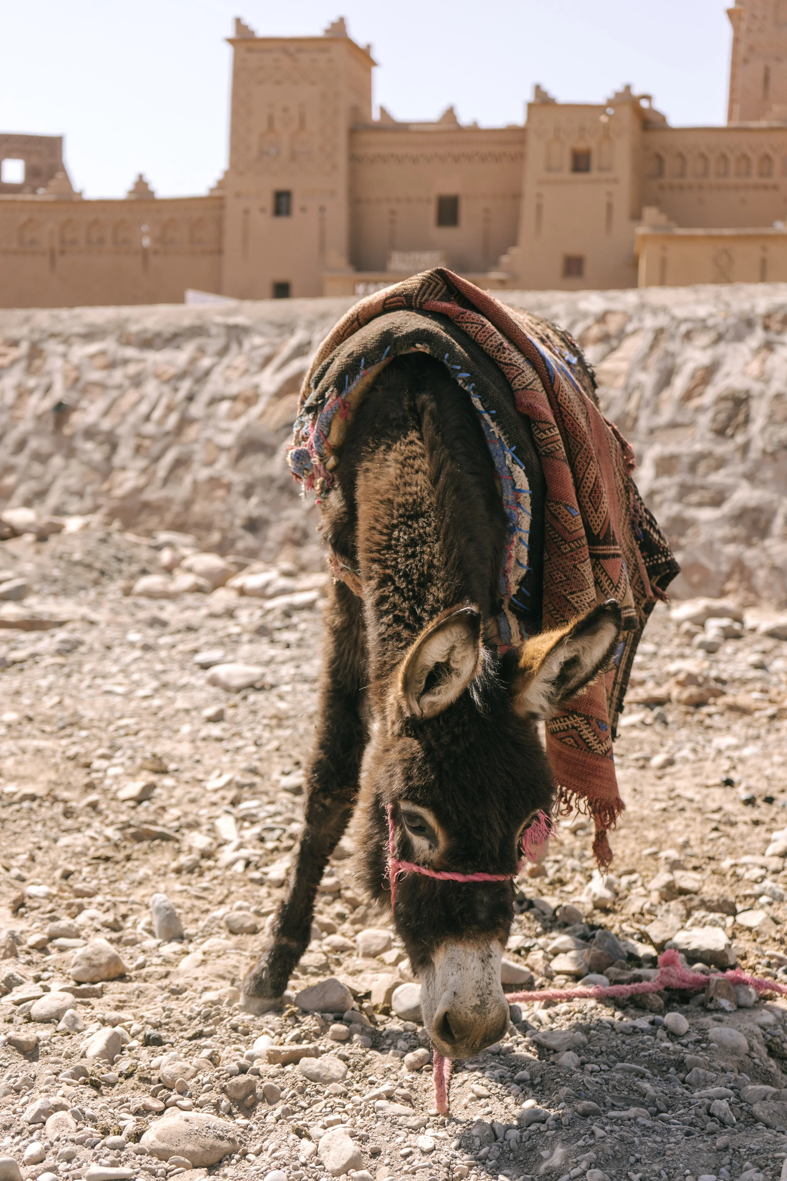 SM_MOROCCO-20.jpg