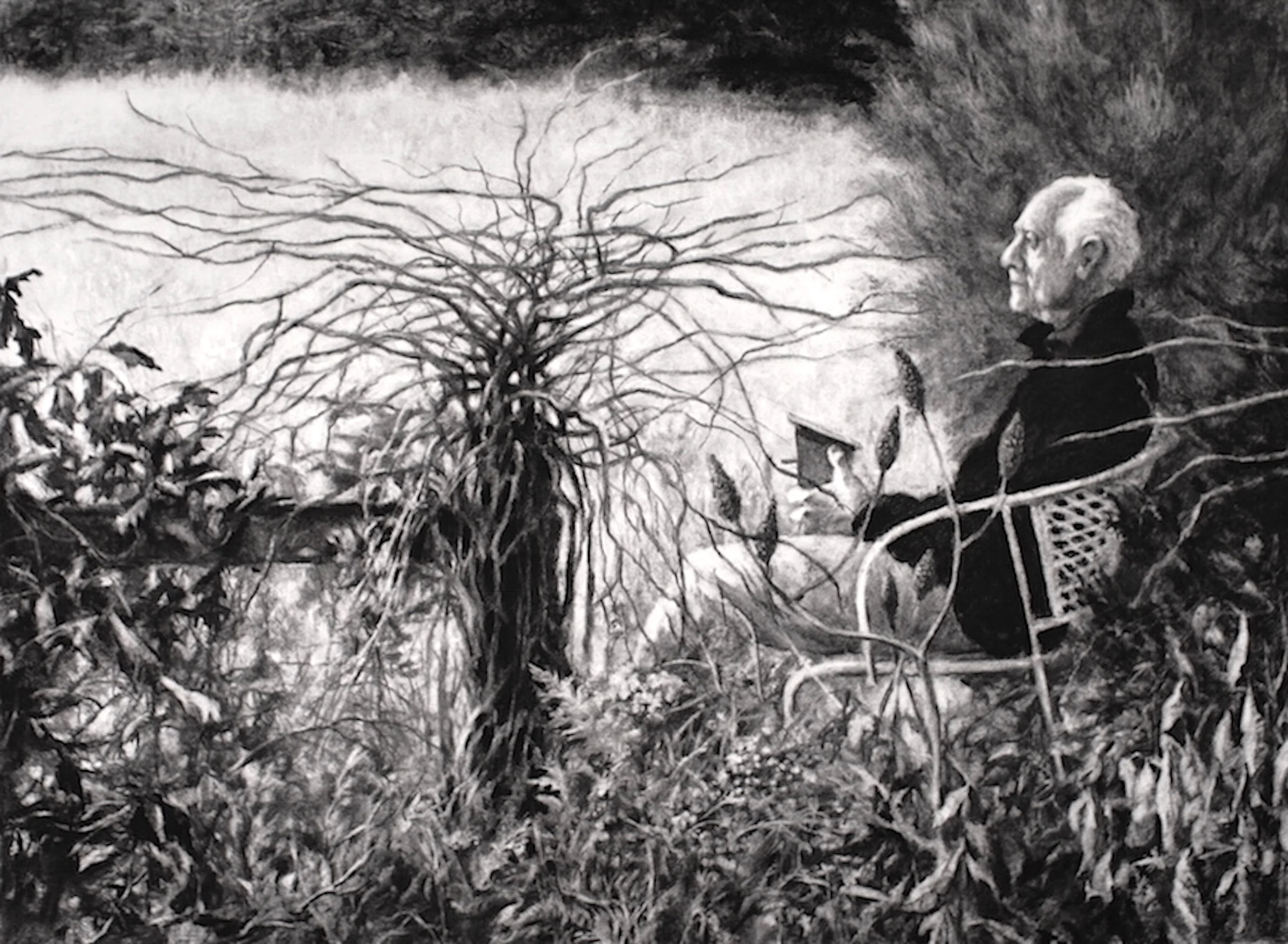 Appalachian Birdsong, winter. Charcoal, 30"x22"