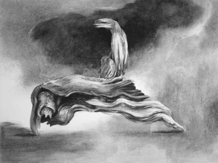 Root Form #1. Charcoal, polymer, mounted on panel, 18"x24",