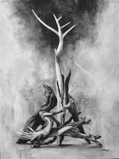 Roots and Limbs. Charcoal, polymer, mounted on panel, 18"x24"