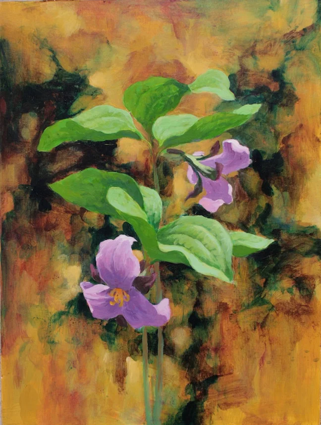 Catesby's Trillium, acrylic 9"x12"