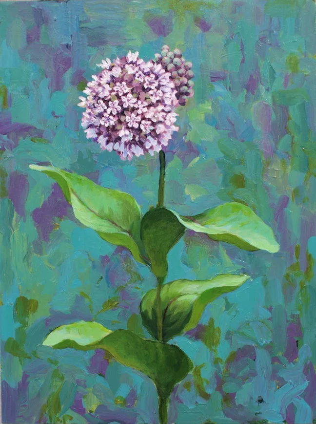 Common Milkweed, acrylic 9"x12"