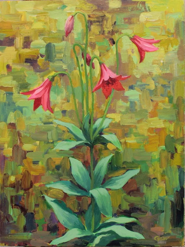 Gray's Lily, acrylic 9"x12"