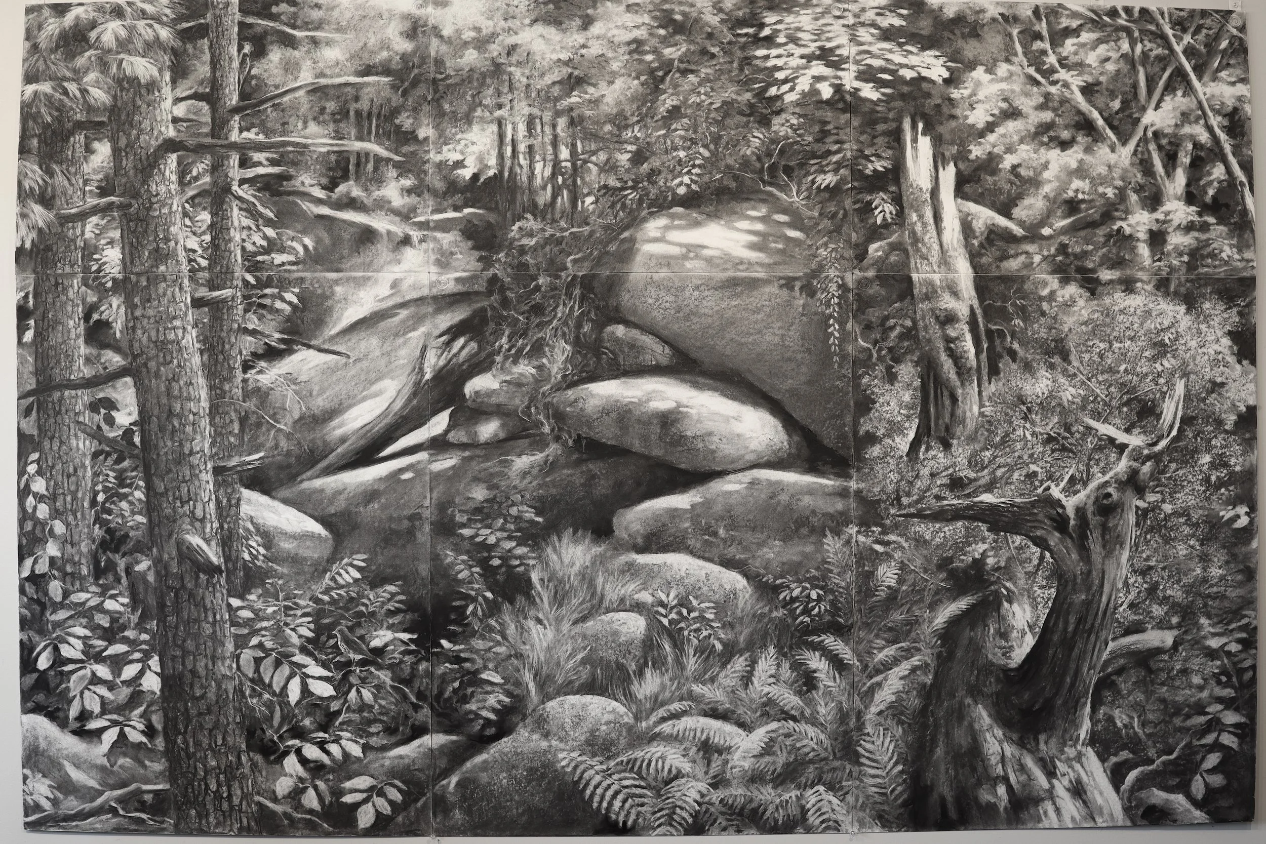 Section of Gallery Drawing. Charcoal. 60"h x 96"h
