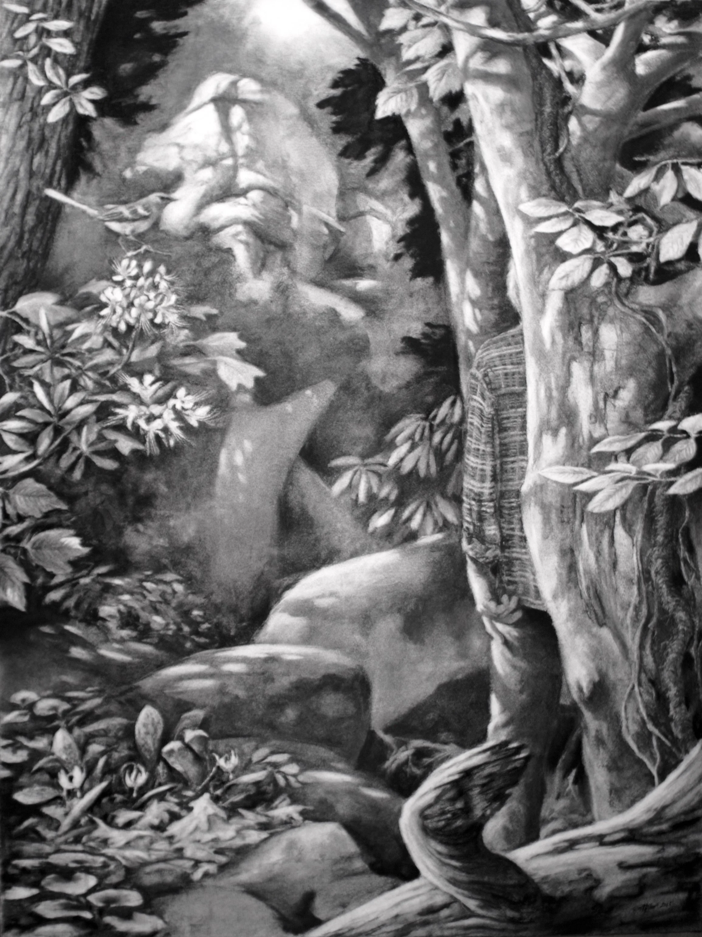 High Lonesome Sound. Charcoal, 29”w x 38”h. 2015