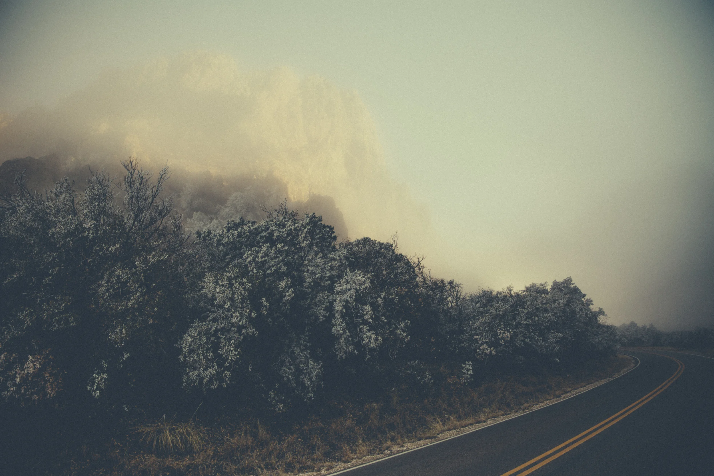 BigBend-12.jpg