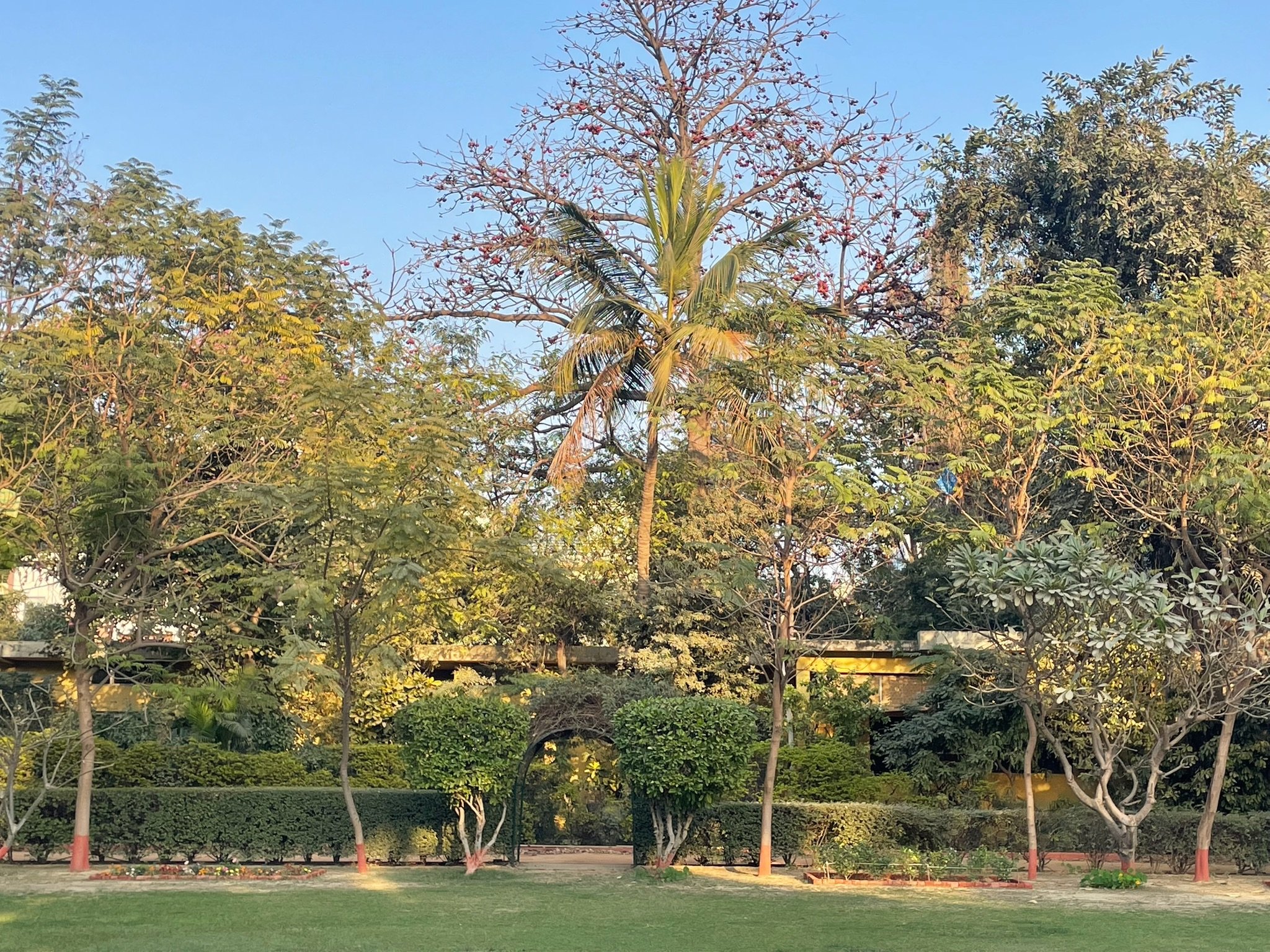 Nestled behind the trees are 4 artist studios