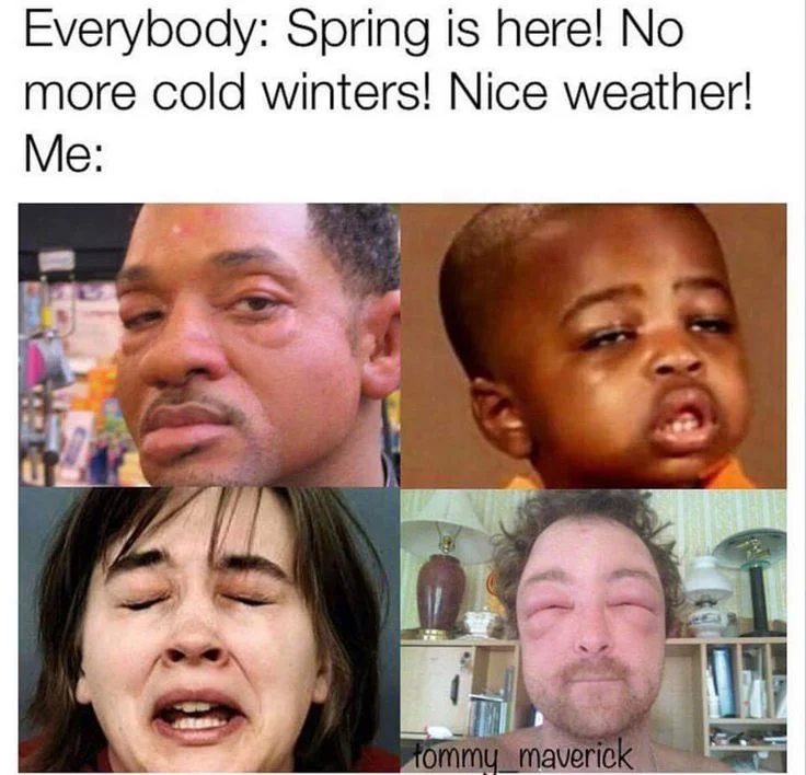 037e4b4ef55e43bfd846852329822716--allergies-meme-spring-allergies-humor.jpg