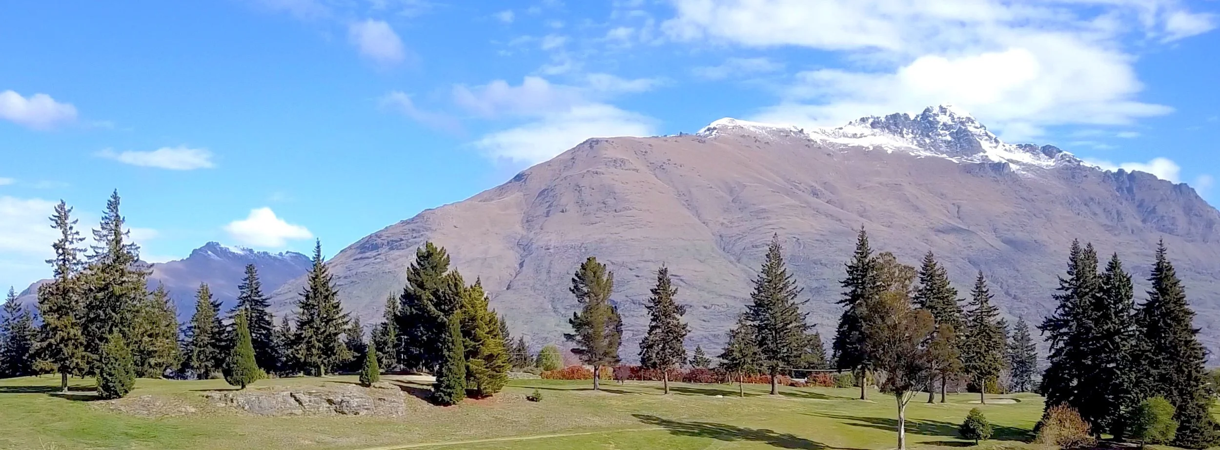 Simpson Cinema 100Xsoc.jpg