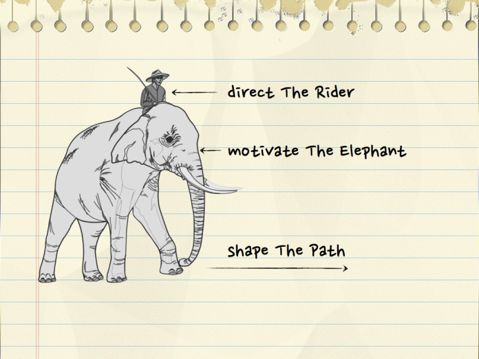 Image Source: paramitamohamad.com