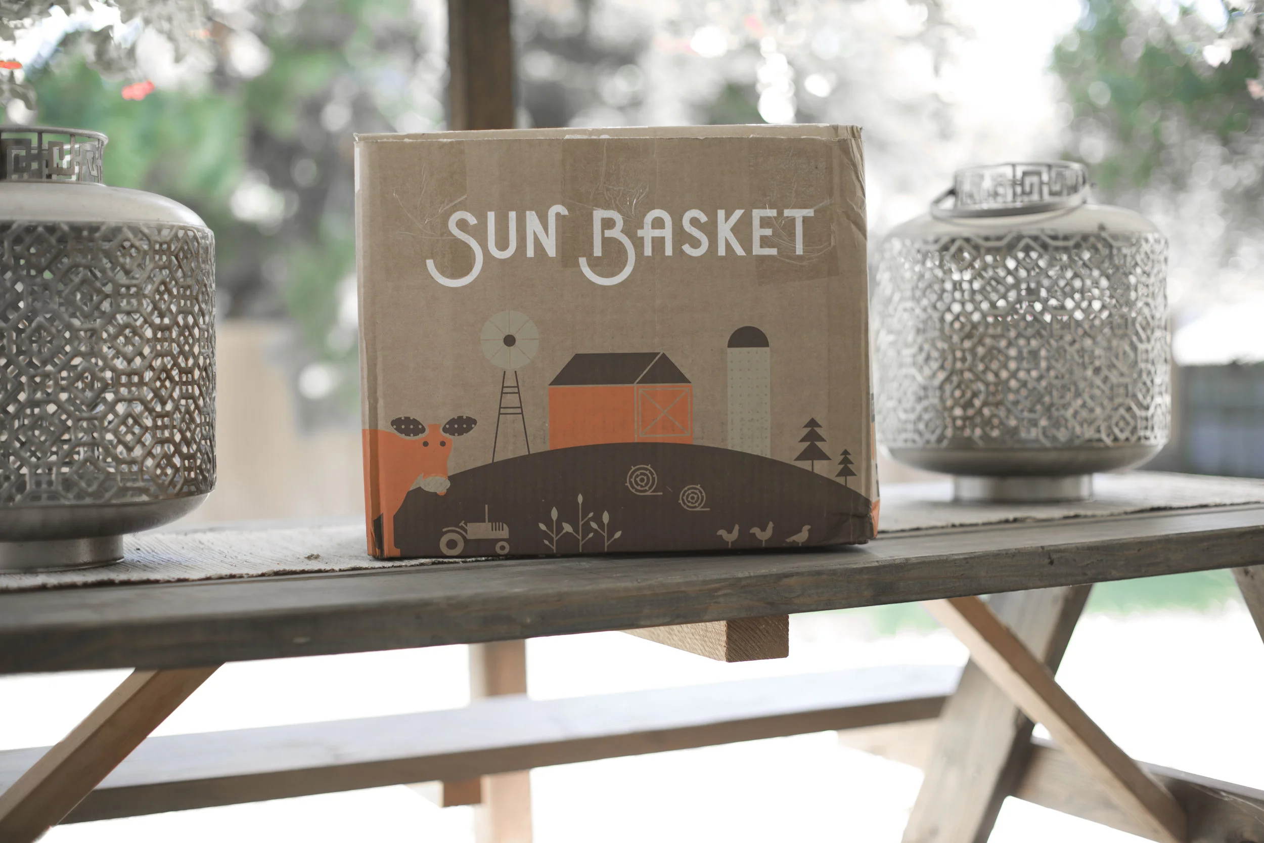 My Latest Find...Sun Basket! 