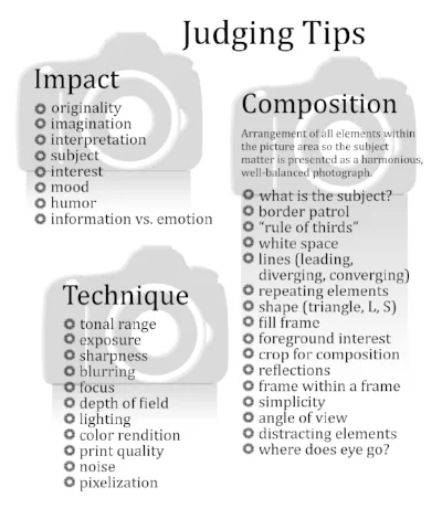 Examples of what judges look for when judging images.