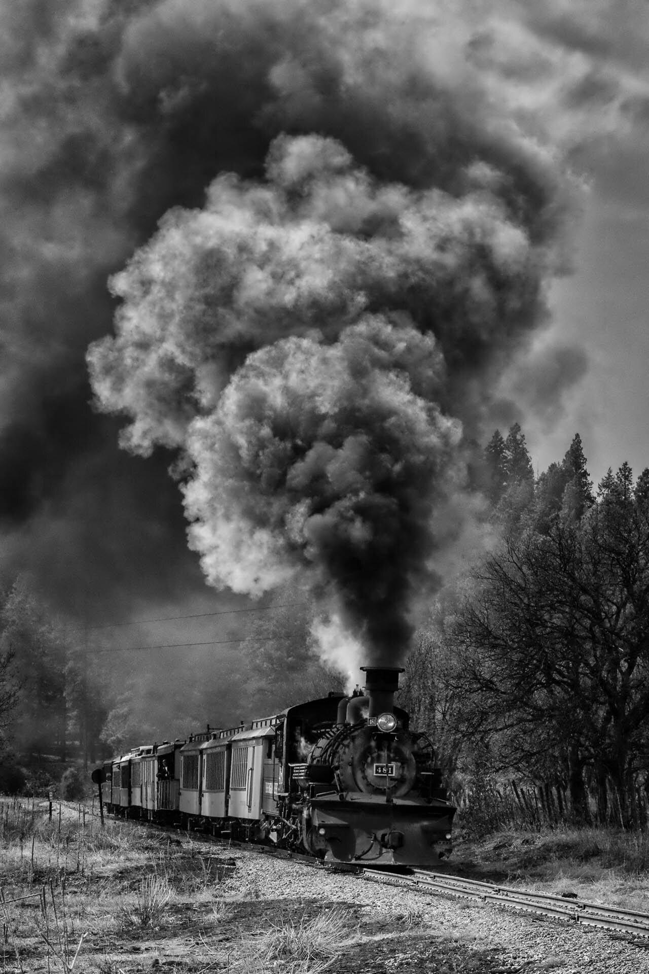  DURANGO AND SILVERTON TRAIN Diane Darnielle 