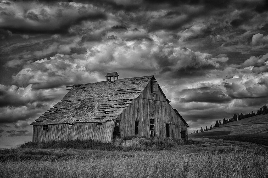  PALOUSE BARN Diane Darnielle 