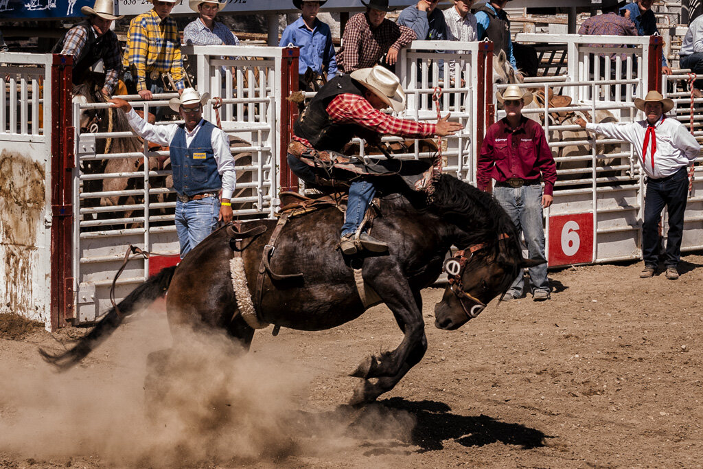  BRONC RIDING Diane Darnielle 