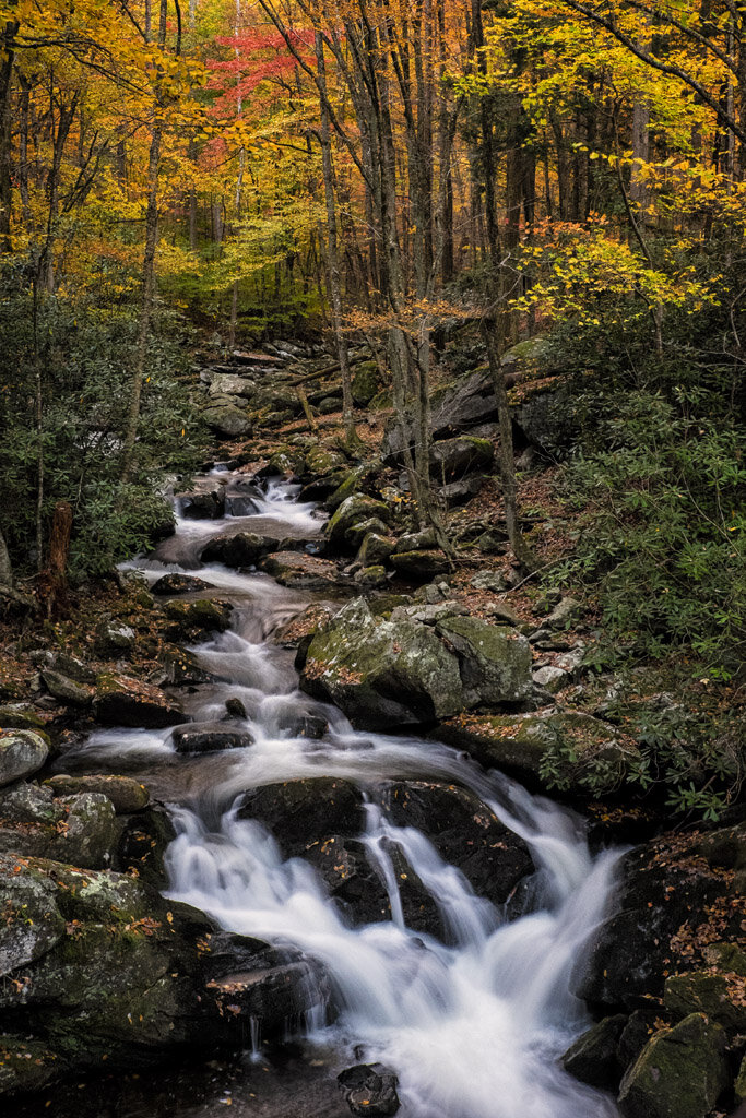  FALL IN THE SMOKIES Diane Darnielle 