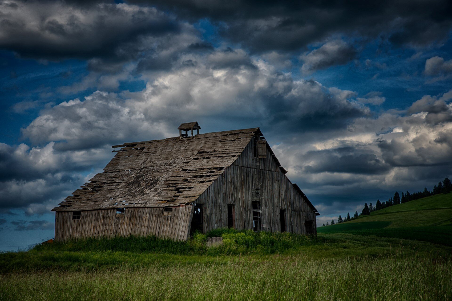  JACK'S BARN Diane Darnielle 