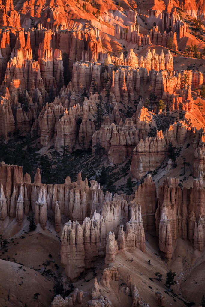  SUNRISE VIEW FROM BRYCE POINT Diane Darnielle 