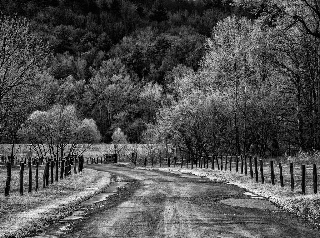  HYATT ROAD FROSTY MORNING Diane Darnielle 