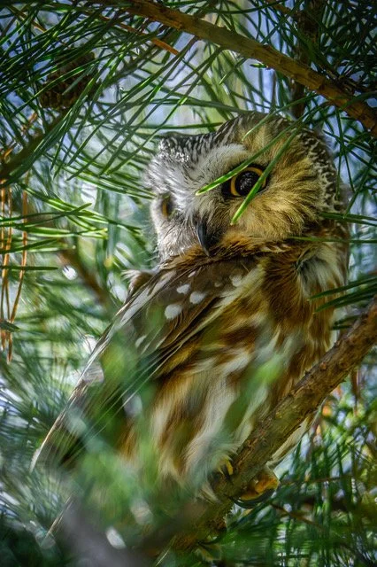 22,Got My Eye On You.jpeg