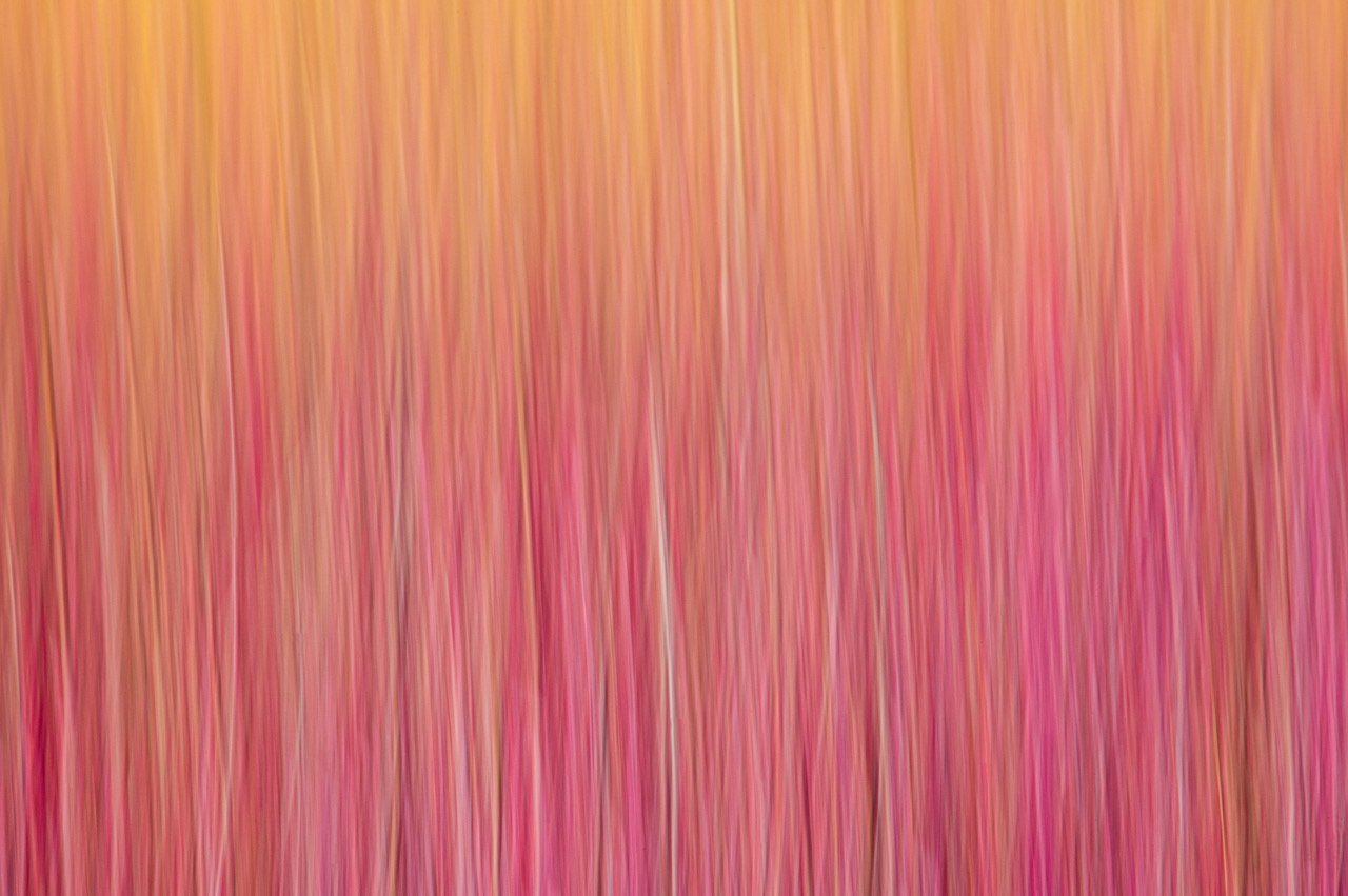 40,Colors of the Prairie.jpeg