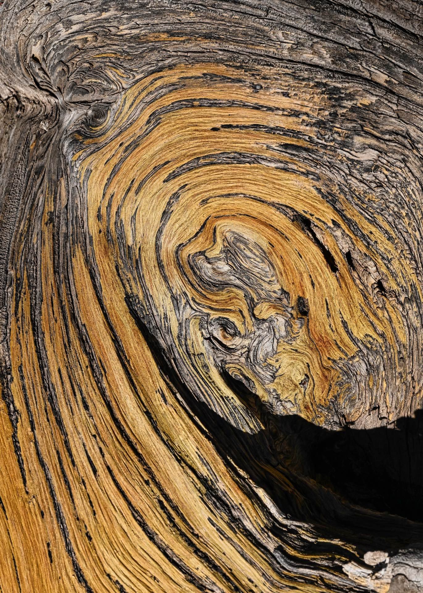 54,Nature's Artwork.jpeg