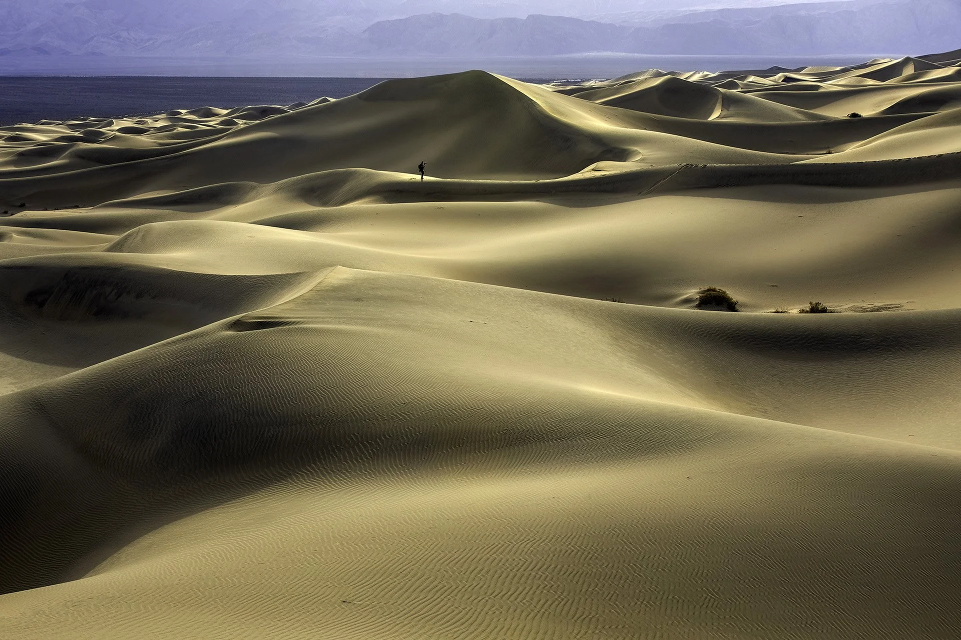 62,Alone in the Dunes.jpg