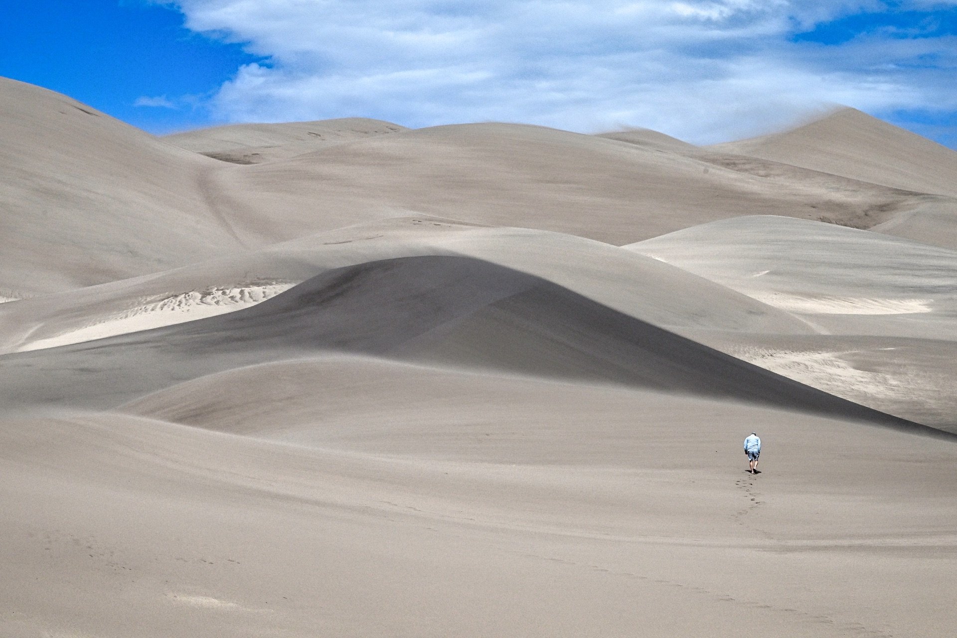 65,Alone in the Dunes.jpeg