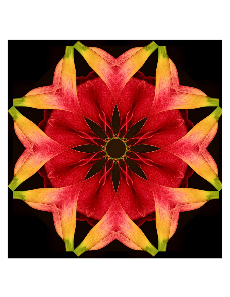 14,Intricate patterns of a Calla lily.jpg