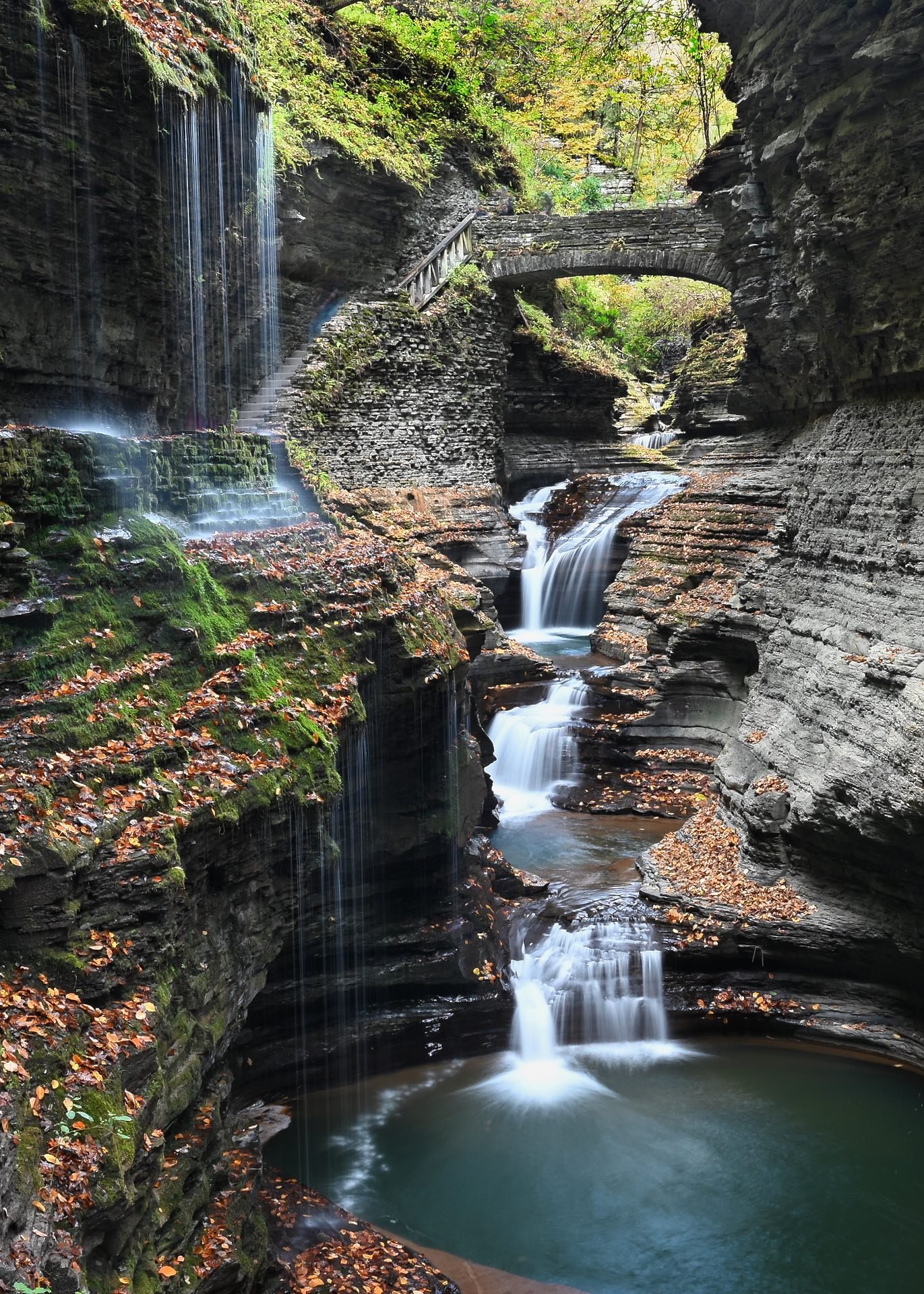 24,Nature's Shower.jpeg
