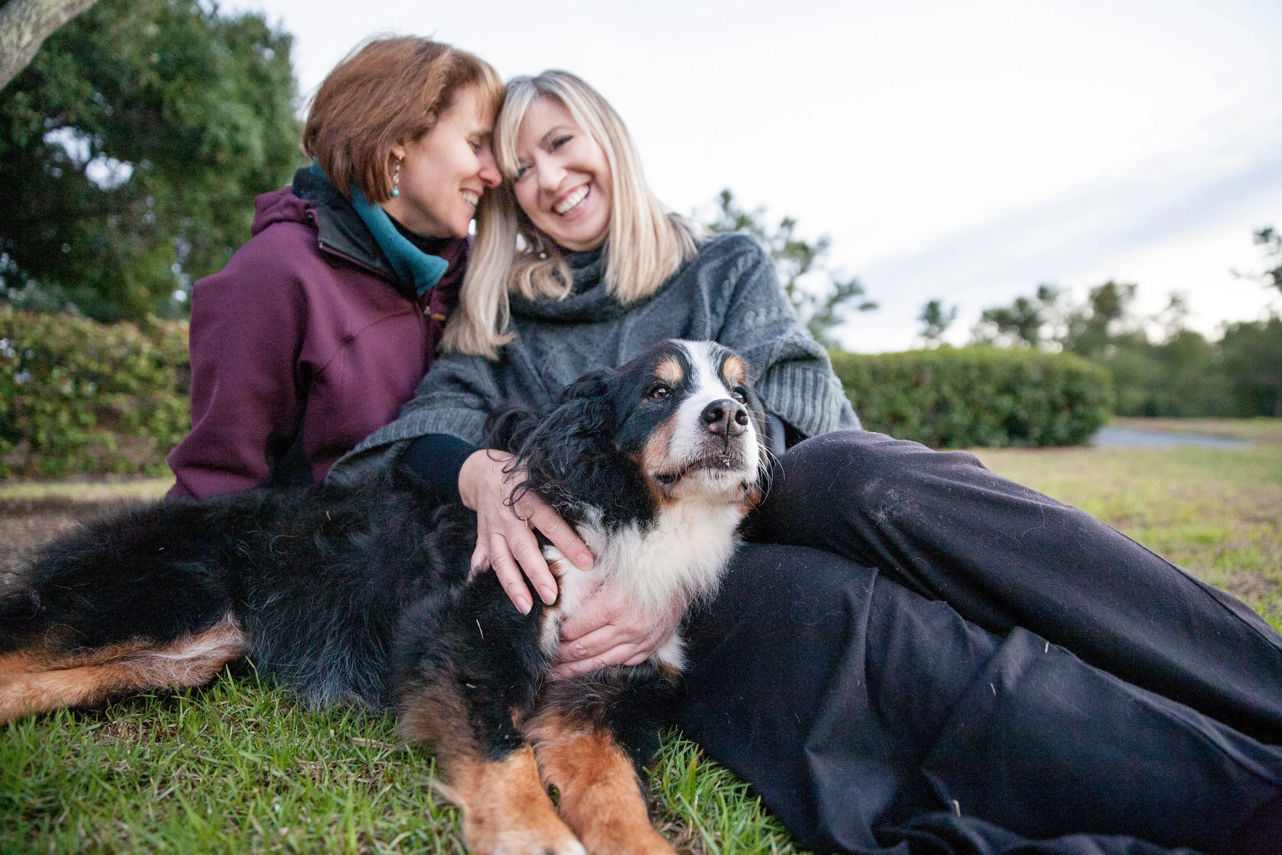 2015_12_28_dog_Amaia_RKP_093_sRGBfinal.jpg