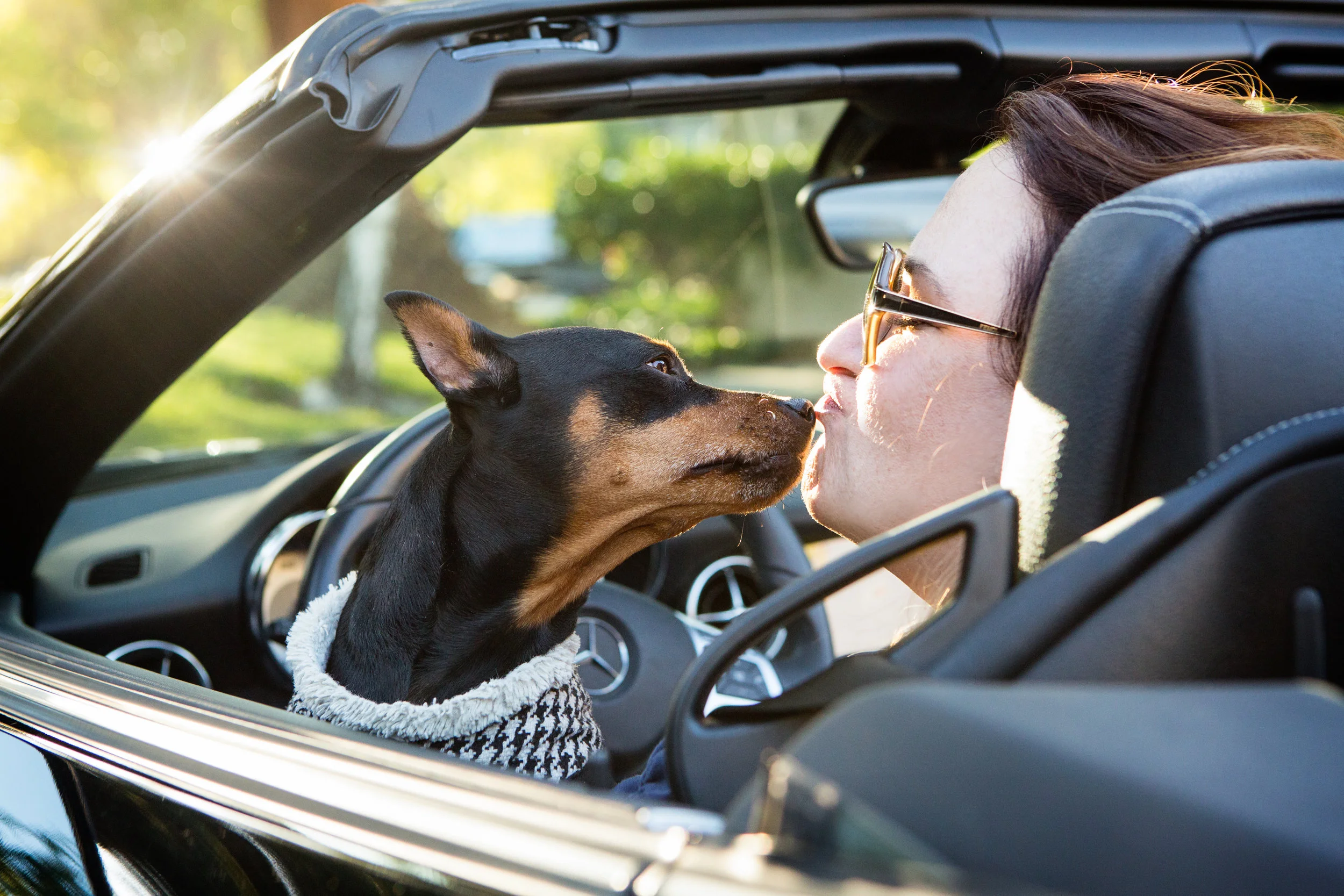 2014_06_12_Dog_Hansel_rkp040_sRGBfinal.jpg