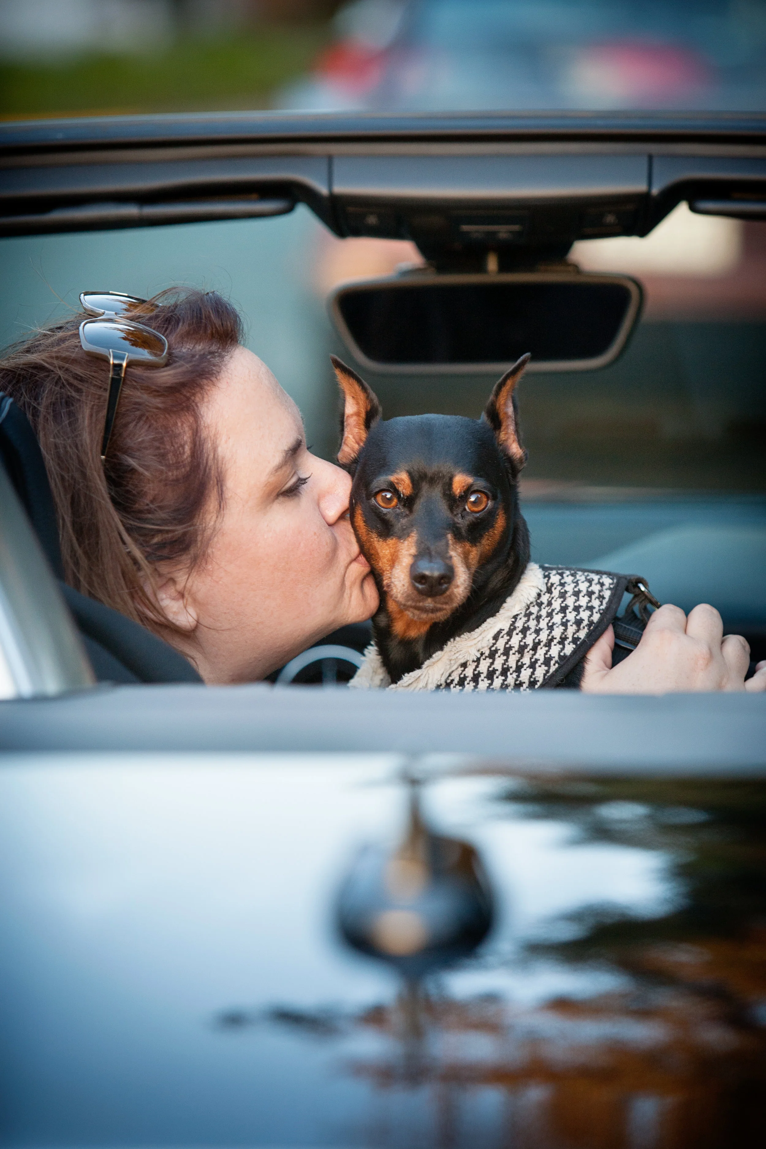 2014_06_12_Dog_Hansel_rkp071_sRGBfinal.jpg