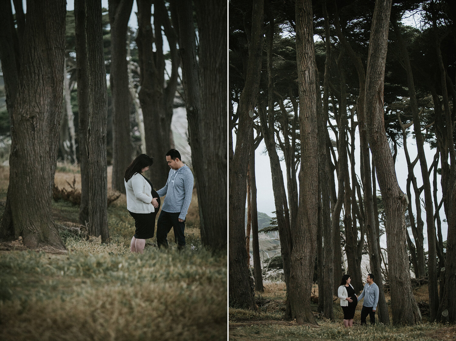 San_Francisco_maternity_photographer_tracy_003.jpg