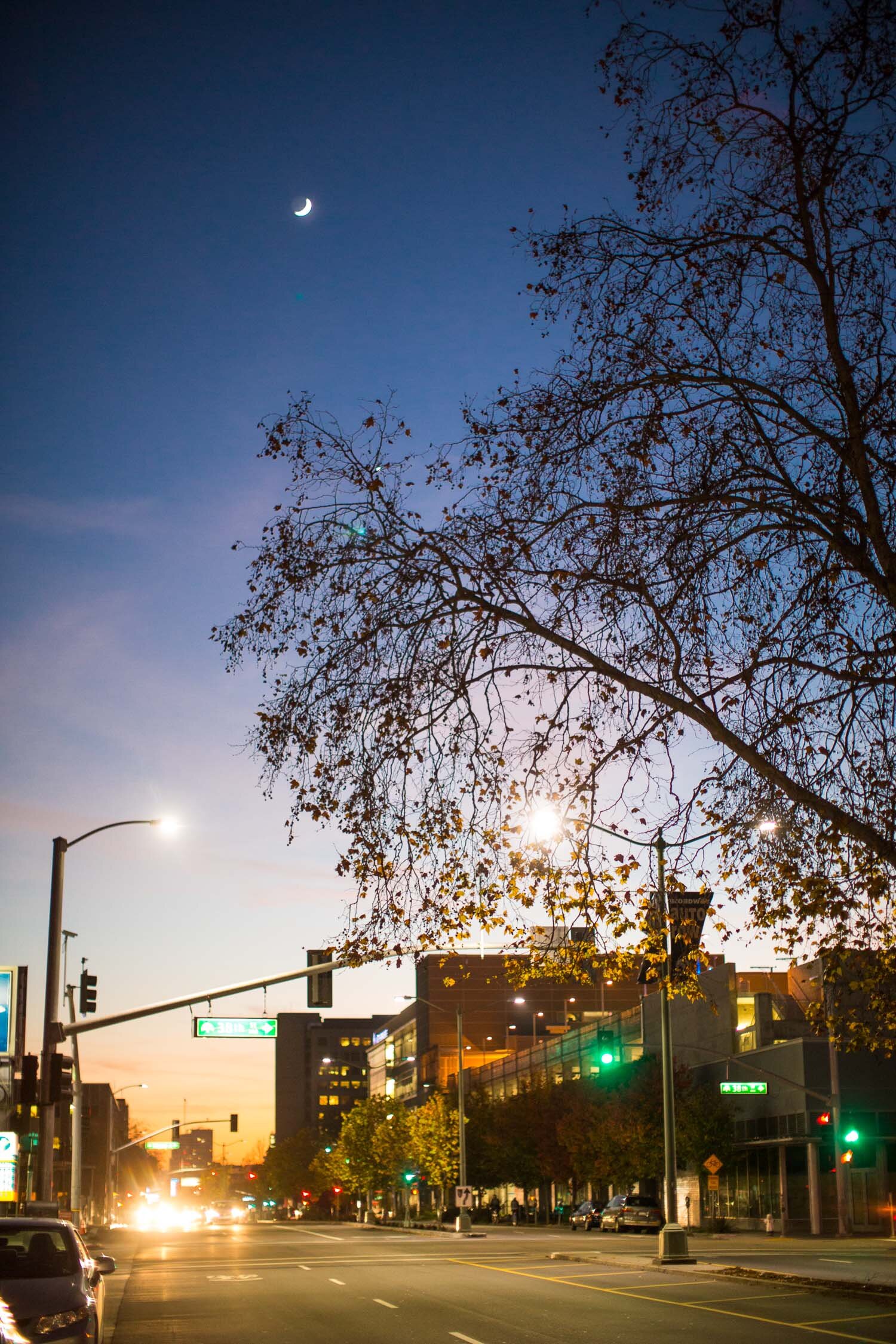 Oakland_Photographer_family_Doan_034.jpg