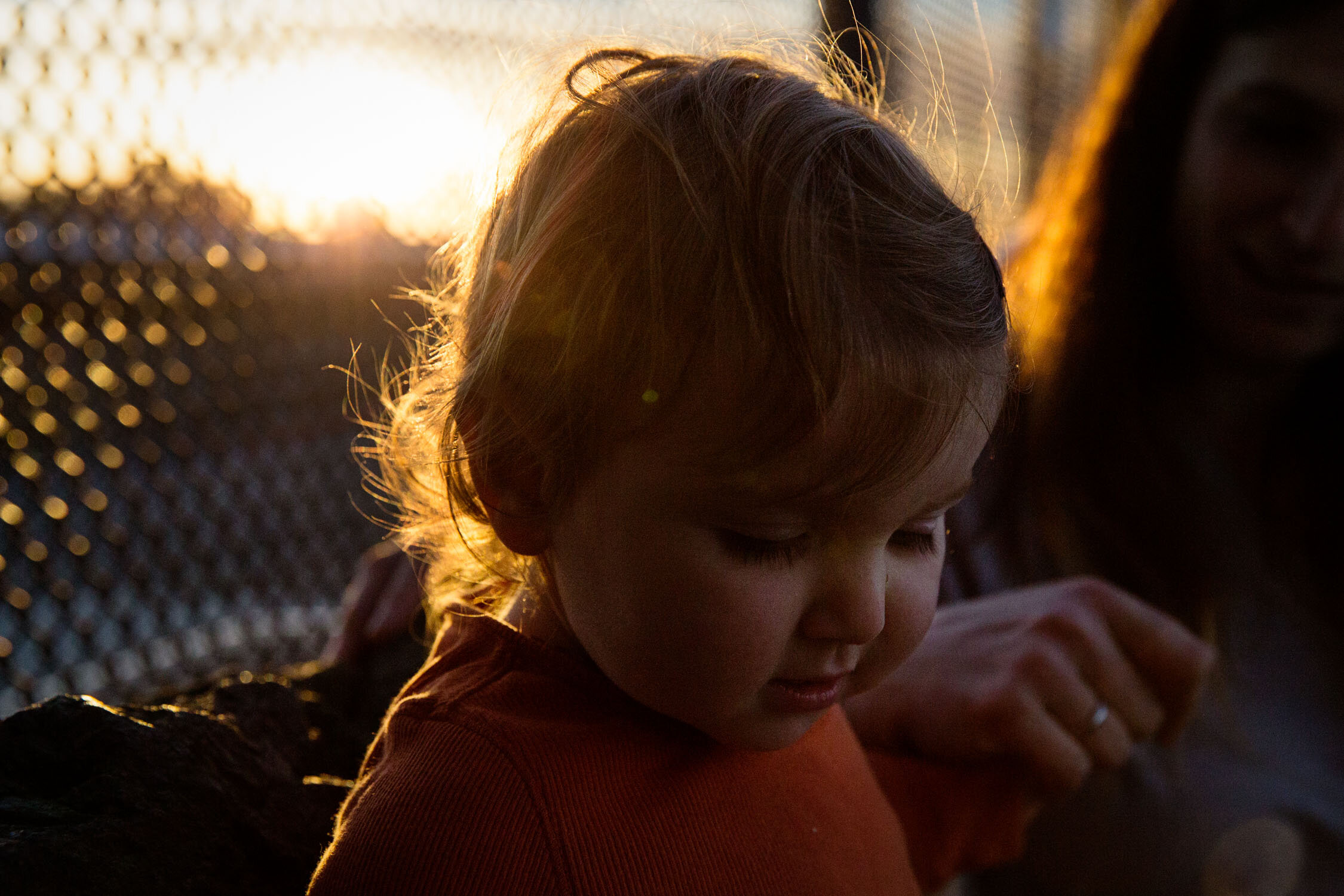 San_Francisco_Photographer_family_Hillary_040.jpg