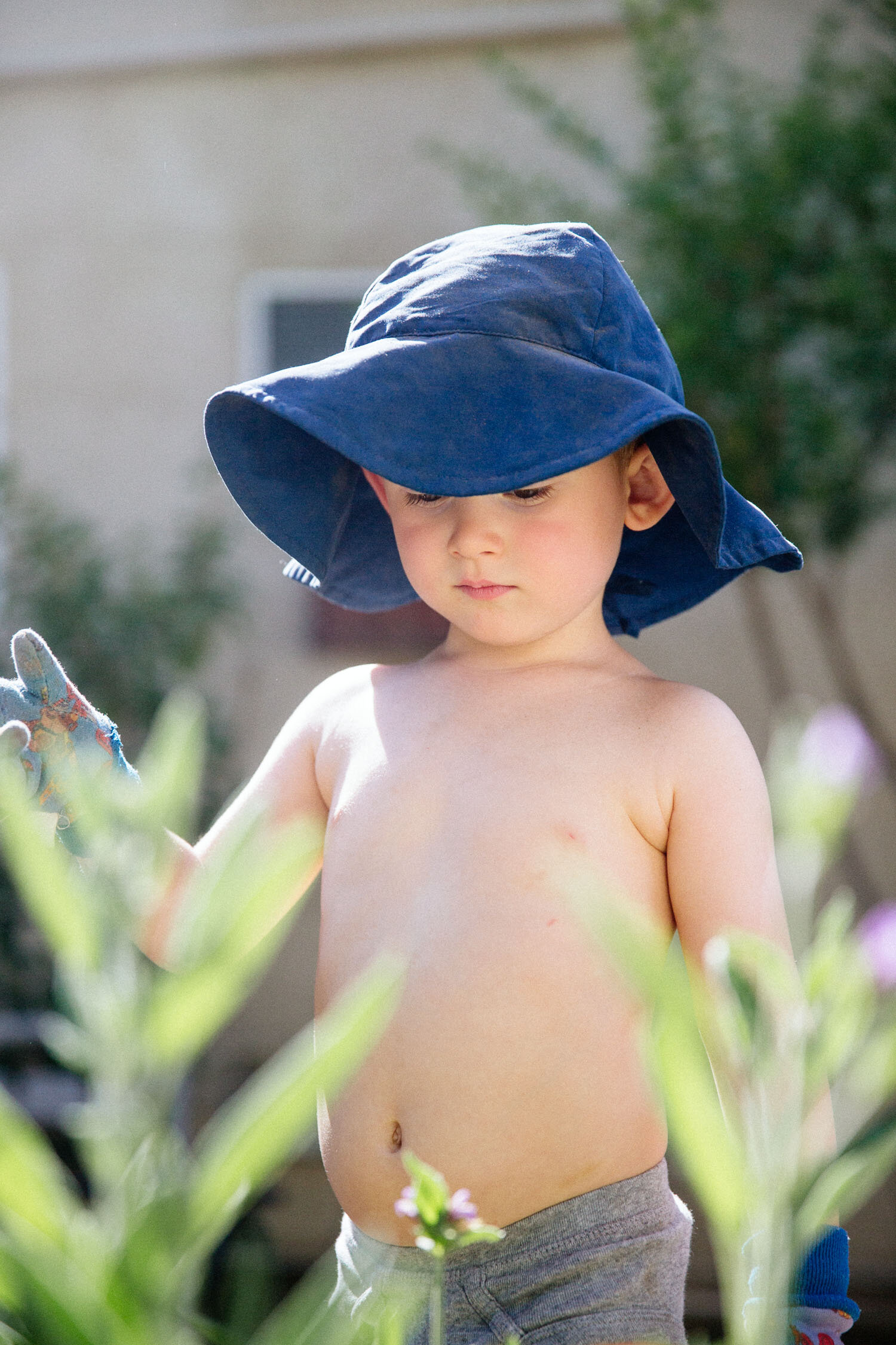 San_Francisco_Photographer_family_shepard_sacramento__037.jpg