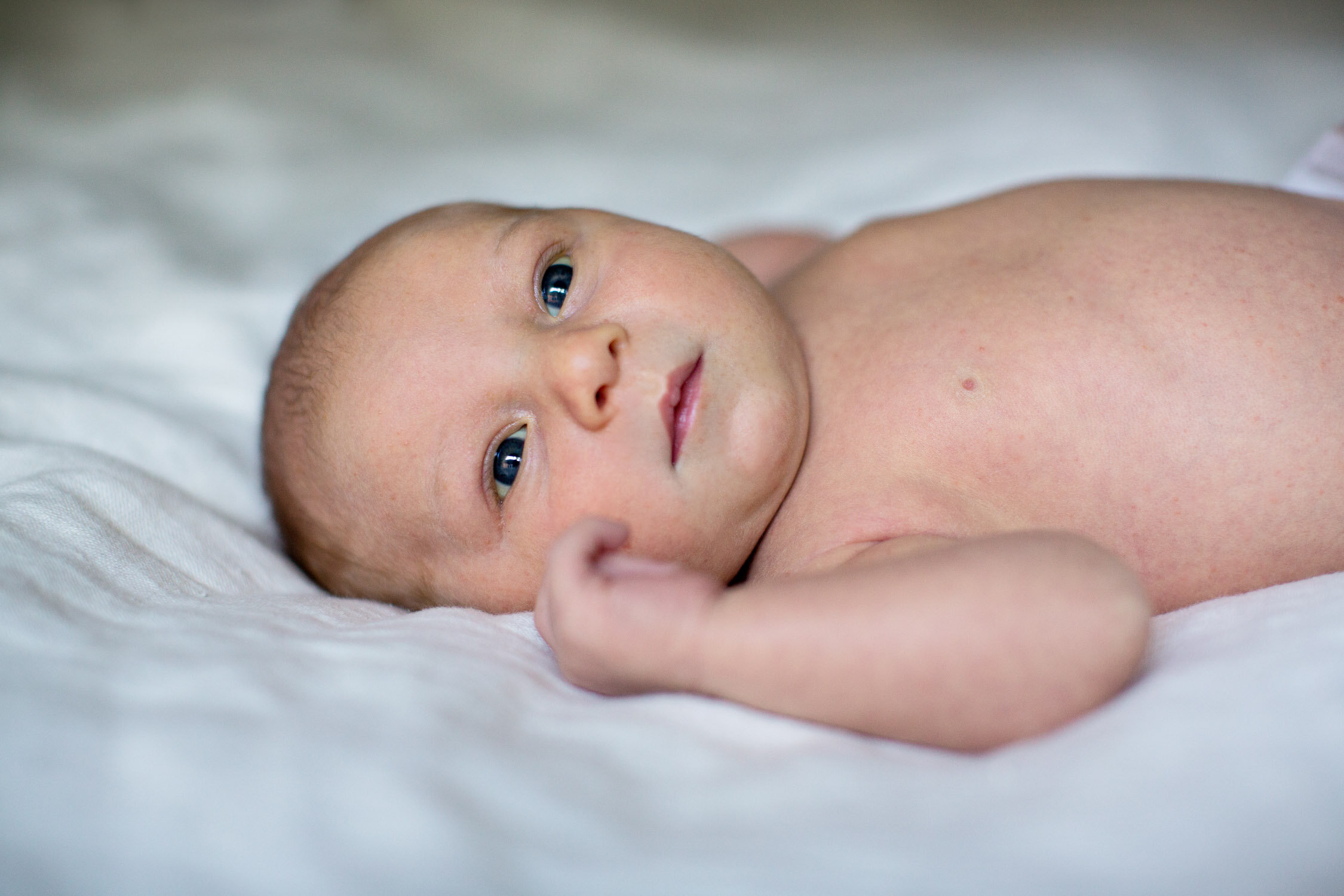 sacramento_family_photographer_newborn_shepard_story_104.jpg