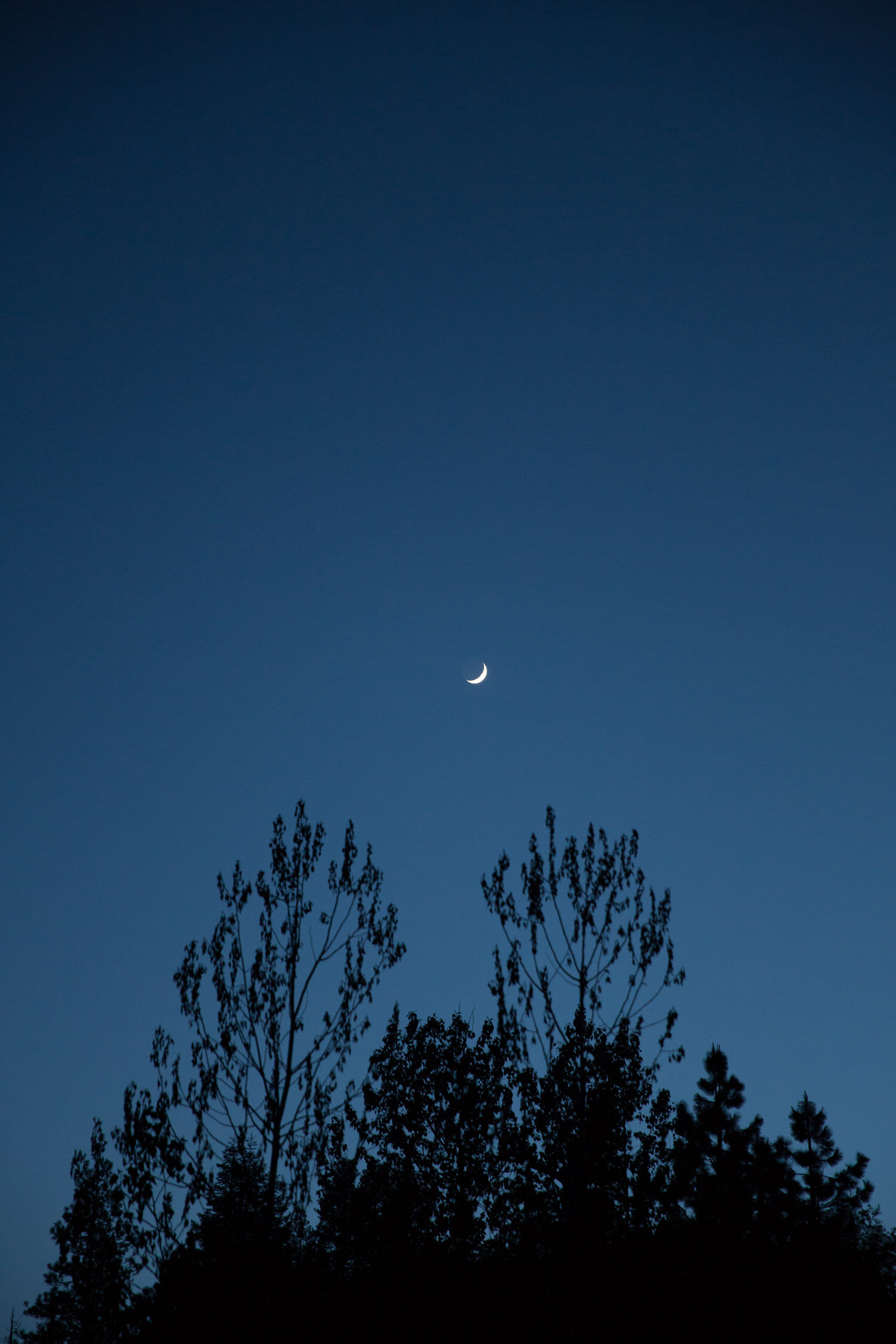 San_Francisco_family_Photographer_personal__103.jpg