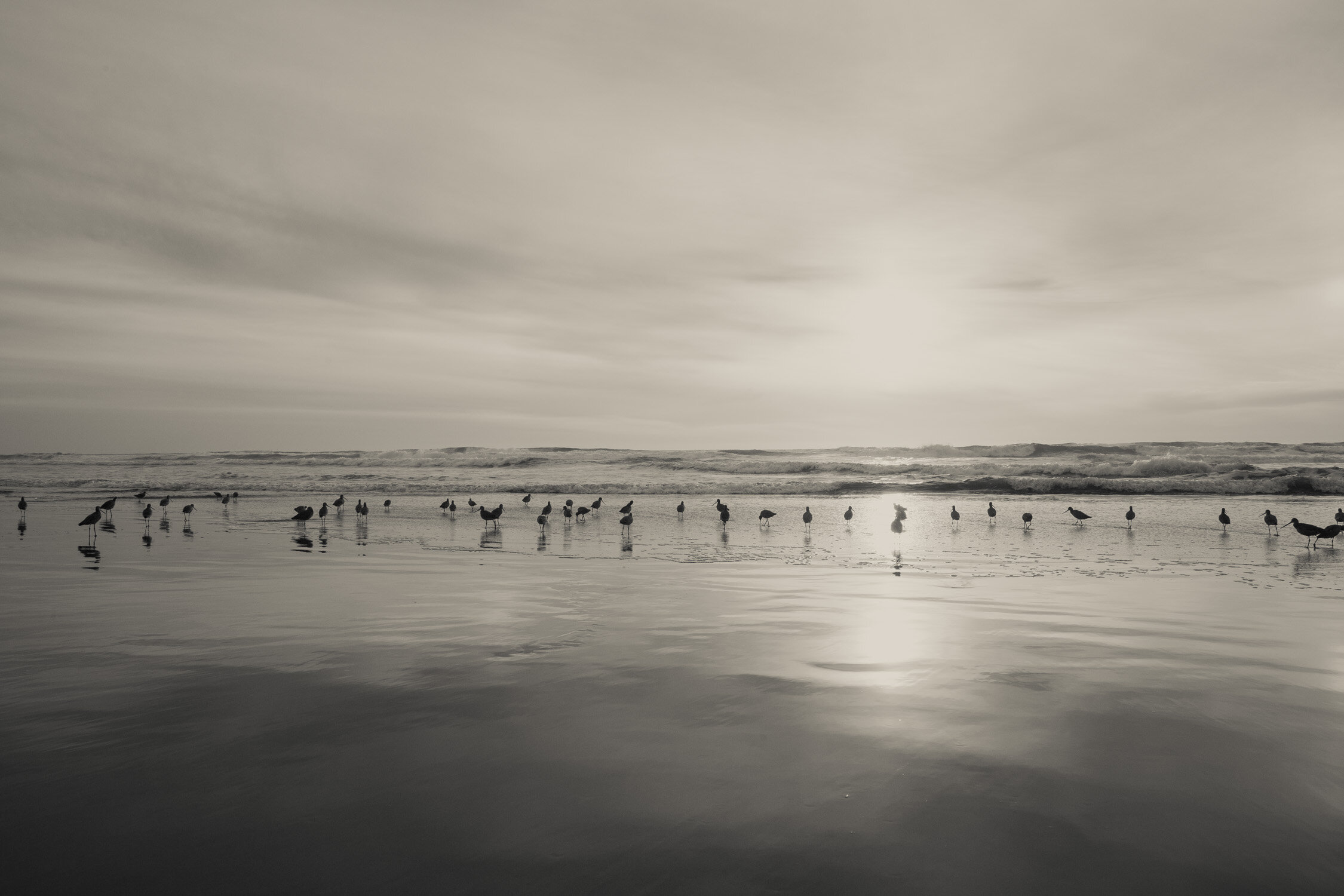 San_Francisco_family_Photographer_personal__049.jpg