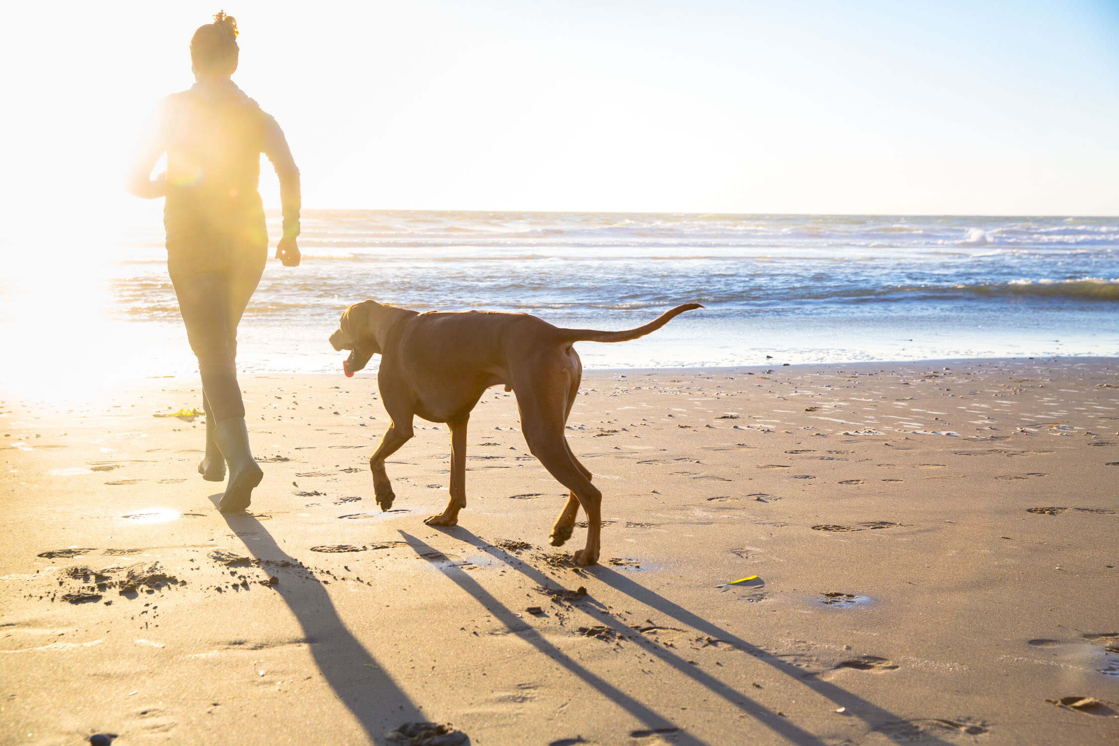 San_Francisco_dog_Photographer_bantu__083.jpg