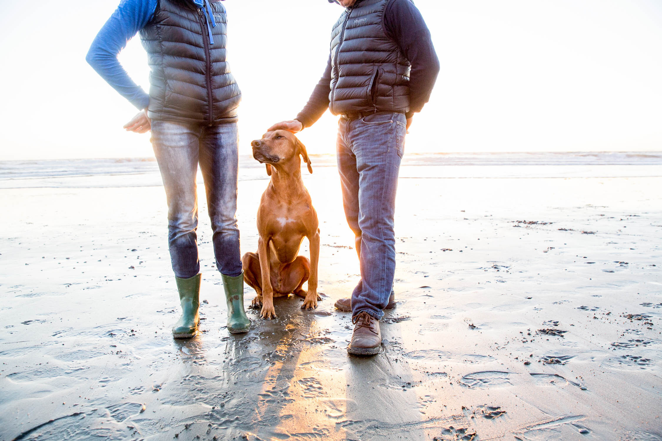 San_Francisco_dog_Photographer_bantu__101.jpg