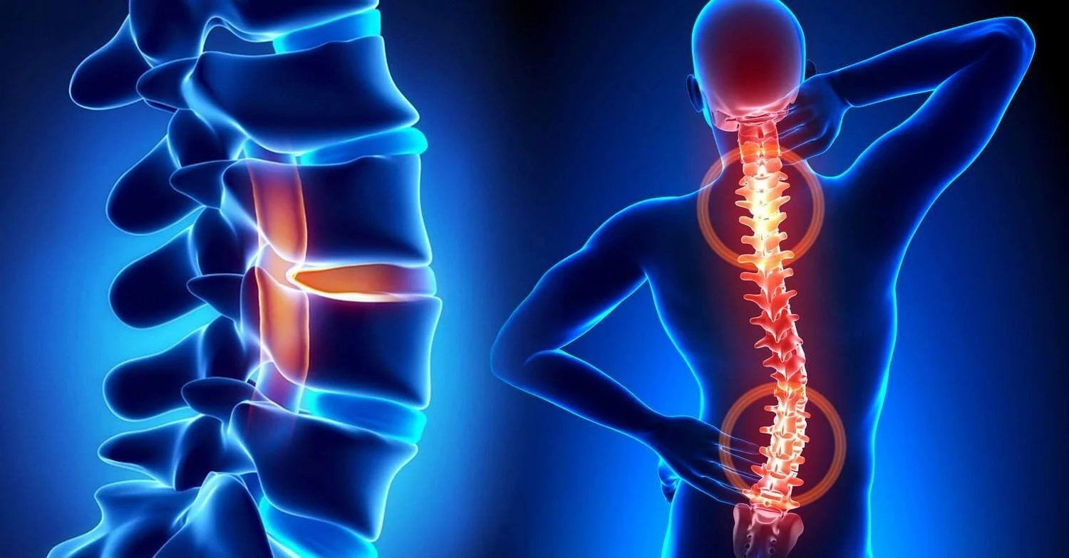 Musculoskeletal.jpg