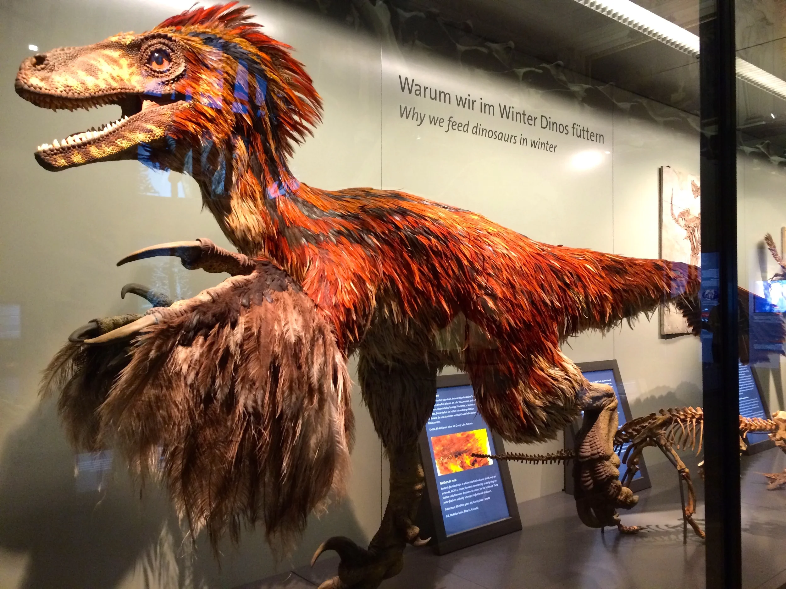 I still can't get over the whole "Dinosaurs had feathers" thing.