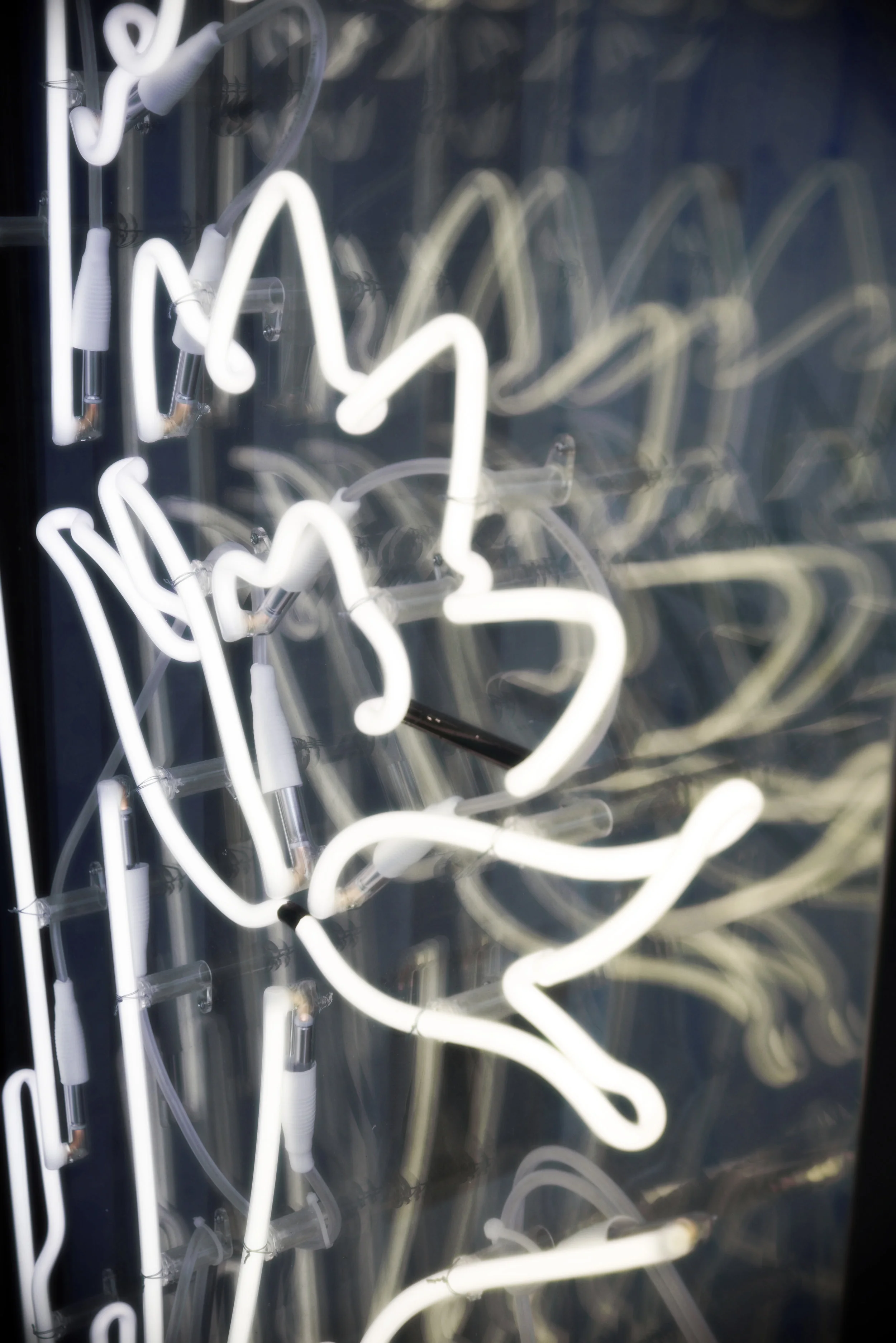 Kenzo Neon_DSC8144.jpg