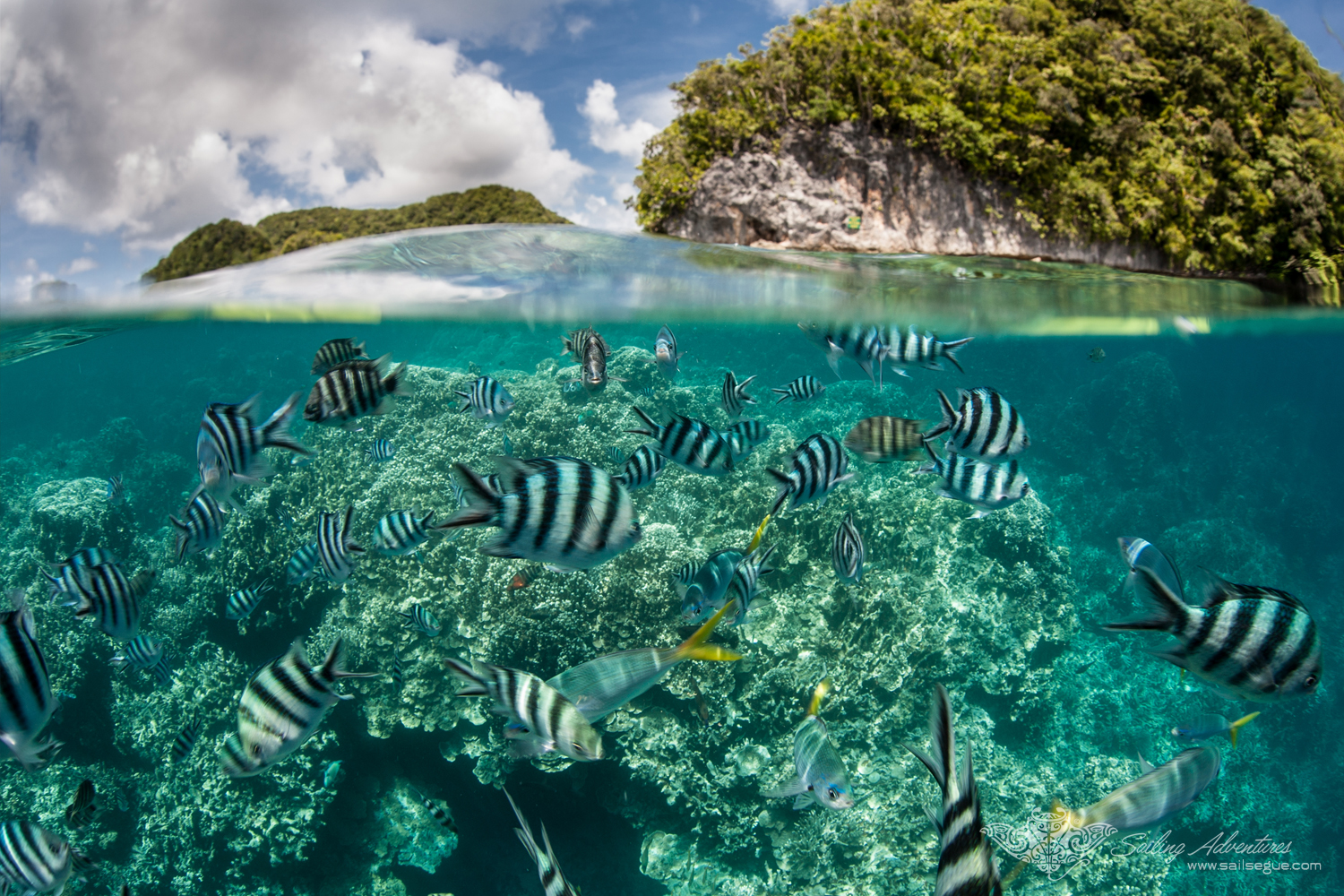 Palau, stunning above and below the water