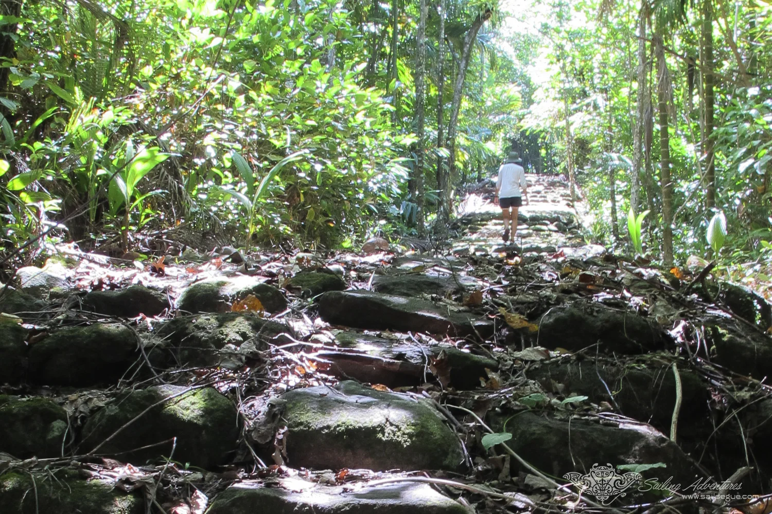 Ancient stone path, Babeldaub, Palau