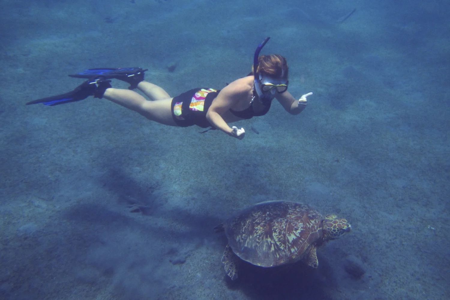 TORTU VANUATU.jpg