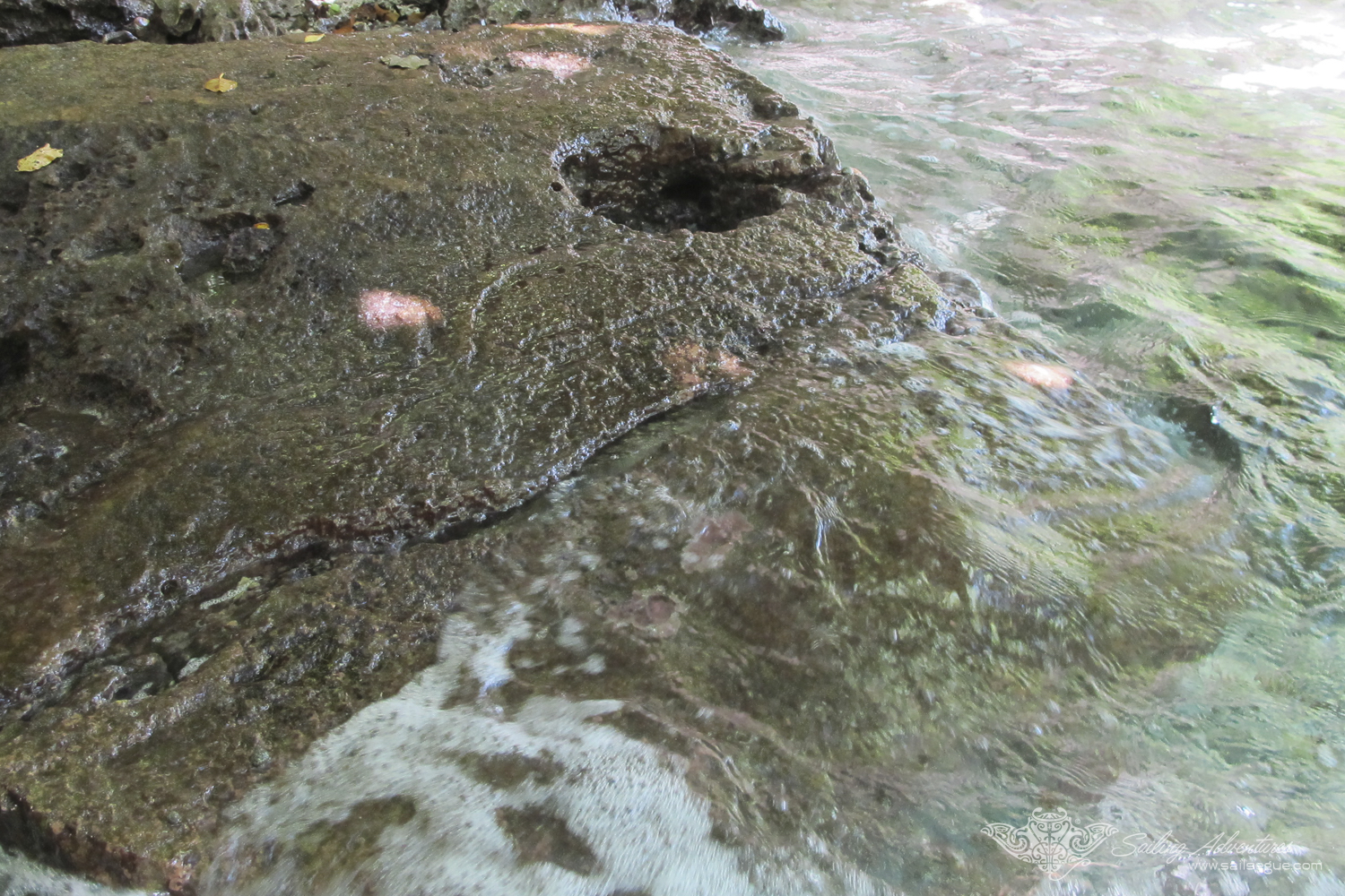 Detail, Traditional Dugout Canoe, Babeldaob, Palau.jpg