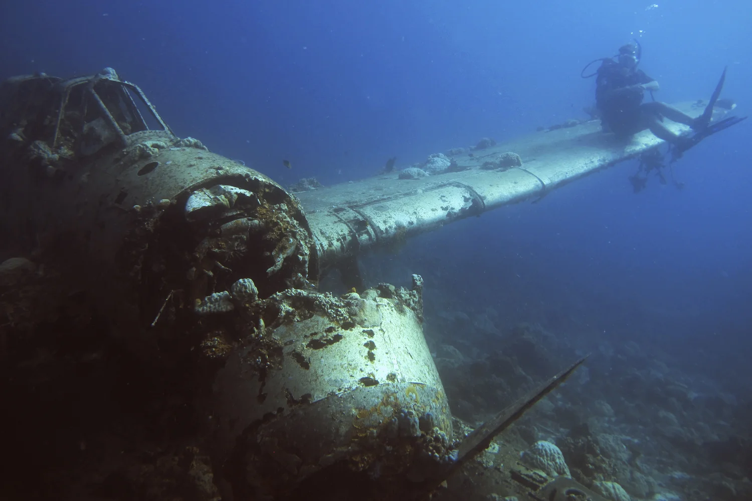 Jake's Seaplane